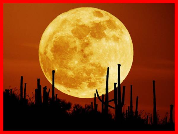 Mơ thấy mặt trăng đánh con gì? Ý nghĩa điềm báo giấc mơ