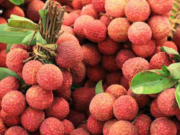 Nhìn thấy quả vải ẩn ý sự phong phú thịnh vượng?