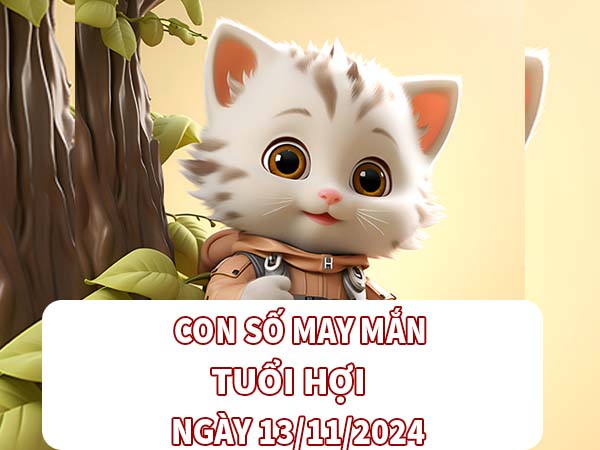 Con số trúng thưởng tuổi Hợi ngày 13/11/2024 thứ 4 hôm nay